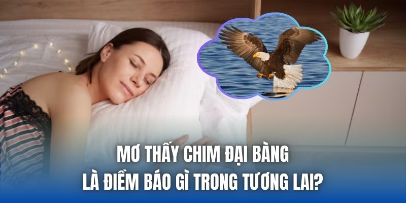 Mơ Thấy Chim Đại Bàng Là Điềm Báo Gì Trong Tương Lai?