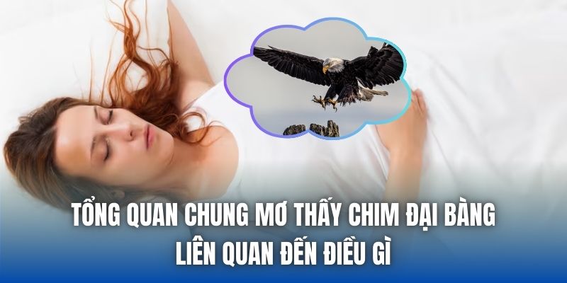 Tổng quan chung mơ thấy chim đại bàng liên quan đến điều gì