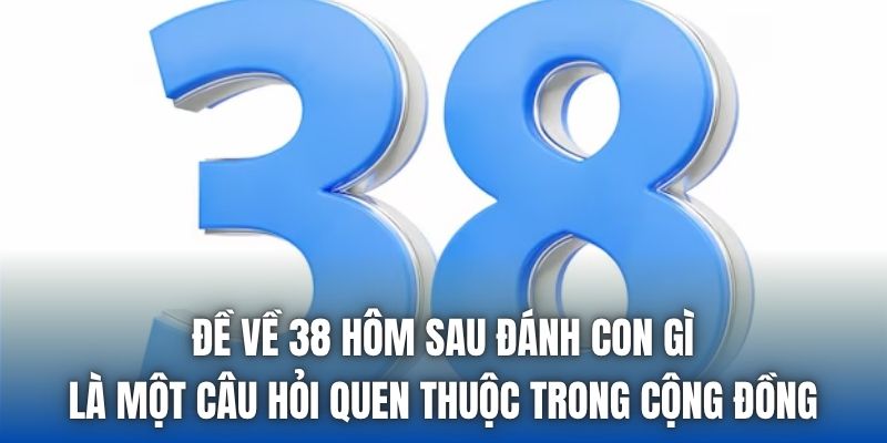 Đề về 38 hôm sau đánh con gì là một câu hỏi quen thuộc trong cộng đồng