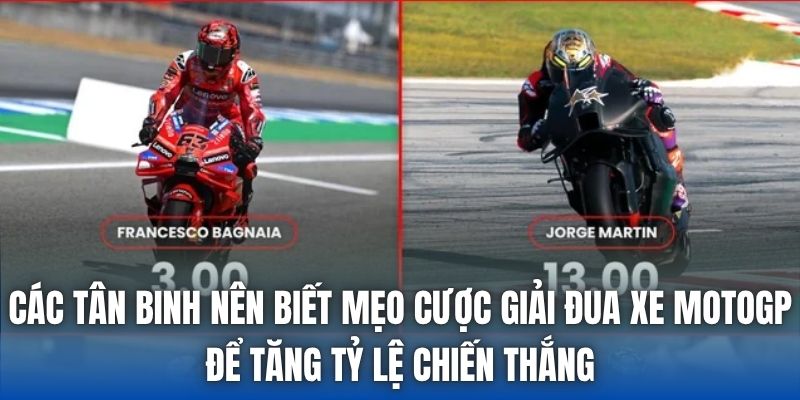 Các tân binh nên biết mẹo cược giải đua xe motogp để tăng tỷ lệ chiến thắng