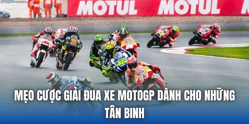 Mẹo Cược Giải Đua Xe Motogp Dành Cho Những Tân Binh